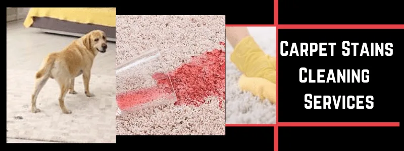 Carpet Stains Cleaning Services