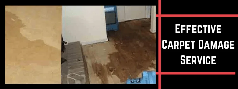 Effective Carpet Damage