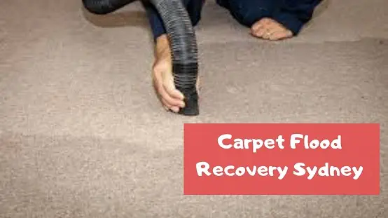 Flooded Carpet Cleaning & Repair Service in Sydney