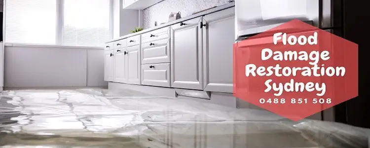 Looking for Flood Damage Restoration Sydney? Call us today!