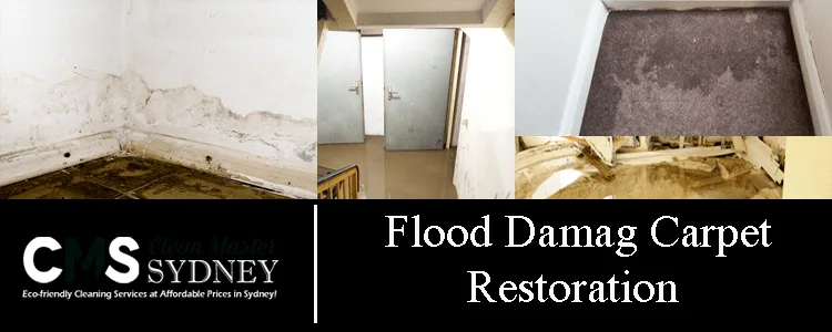 Flood Damaged Carpets Restoration