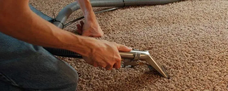 Carpet Stain Removal Service