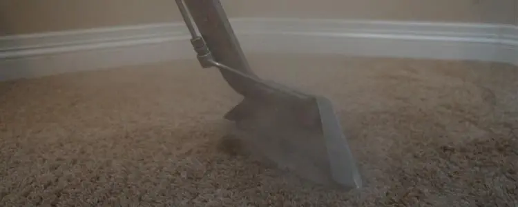 Carpet Steam Cleaning Service