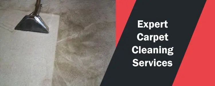 Expert Carpet Cleaning Service