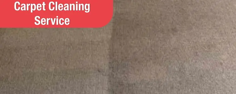 Getting Carpet Professionally Cleaned