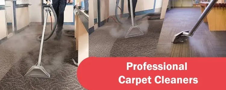 Professional Carpet Cleaners