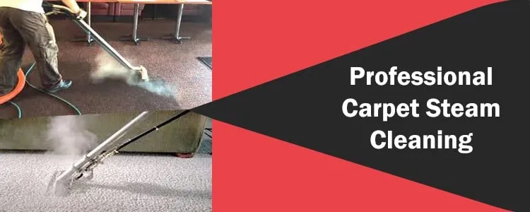 Professional Carpet Steam Cleaning