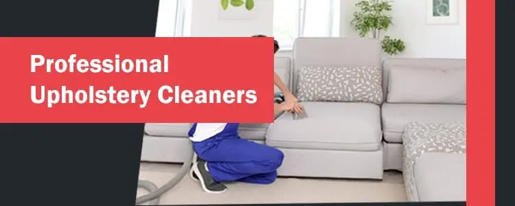 Professional Upholstery Cleaners