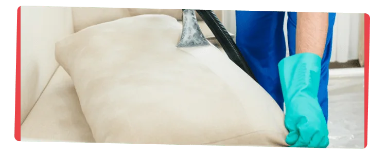 Couch Cleaning Central Coast