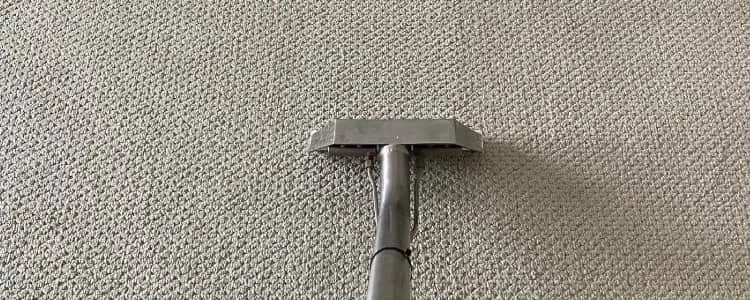 Expert Carpet Cleaning