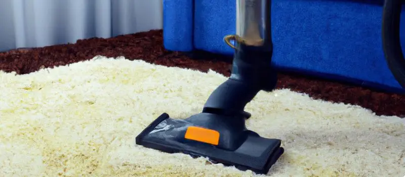 What Do Professionals Use To Clean Carpets?