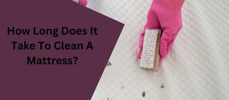 How Long Does It Take To Clean A Mattress